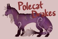 Polecat Drakes