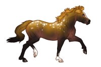 Ferox Welsh Pony #BL025