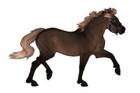 Ferox Welsh Pony #BL029