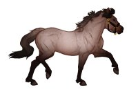 Ferox Welsh Pony #BL032