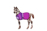 Blanket foal #4 foal ref