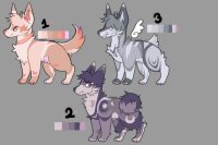 (2/3 OPEN) canine batch adopts #1