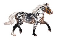 Ferox Welsh Pony #BL012