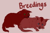 Polecat Drakes :: Breedings