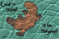 love is stored in the platypus