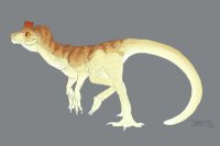 Cryolophosaurus Adopt 2 (sold)
