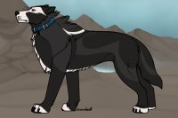 NQD | Andean Wolf | Orca