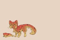 Kitten 6
