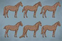 Horse Design Sheet - Free Editable!
