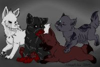 Fallon and Темный's Pups