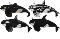 orca adopt sheet