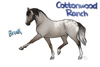 CWHR: Greying Bay Roan Spotted Blanket