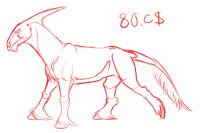 80.C$ flat - Species Sketch Sale