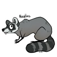 Noodles the Raccoon