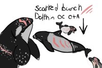 "scarred bunch" Dolphin OC OTA CLOSED