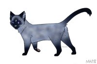 blue roan kitty