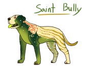 Holidog Breeder - Saint Bully