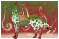 Dog Breeder - Strawberry Macha
