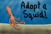 Adopt a Squid!