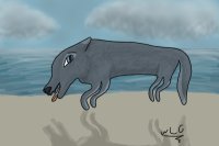 Wolf on the Beach