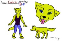 A real reference of my Fursona.