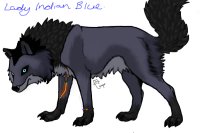 Lady Indian Blue