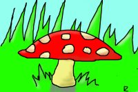 color a mushroom!