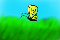 random butterfly