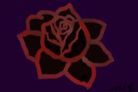 Red and Black Rose