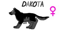 Dakota for Dakota-San