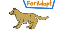 Saber-Tooh WD up for adoption