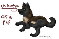 THis is my character, Thantos, as a pup.