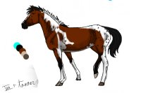 (realistic) bay pintaloosa stallion