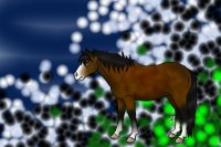brown pony with random background :D