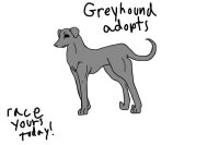 Greyhound Adopts (OPEN)