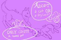 Adopt a cat or a wolf/dog