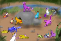 My Little Pony: Friendship is Magic Warrior Cats