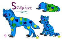 Sapphire for booldog