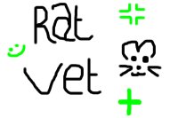 The Ratti Vet (and sugery)