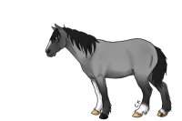 Blue Roan Horse x3