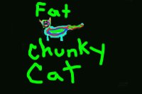 FAT CHUNKY CAT