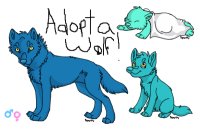 The Crimson Ebony Inferno Wolf Adoptions!