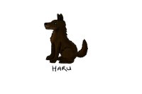 Haru for wolfgang9000