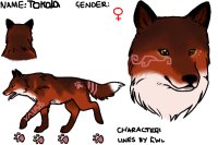 Tokala the wolf/fox