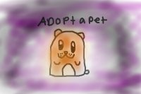 adopt a pet(Hi)