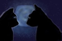 Cats in the moonlight