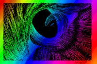 The Eye Sees Many Colors