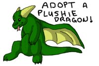 Adopt a plushie dragon!