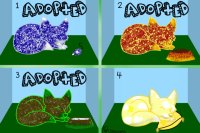 Element Foxes ~Adoptable~ (Open! First come first serve!)
