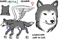 Reference for my Fursona, Aerial